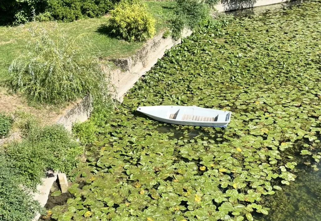 Barque au milieu des nénuphars sur l'Indre près de La Maison d'Elrond